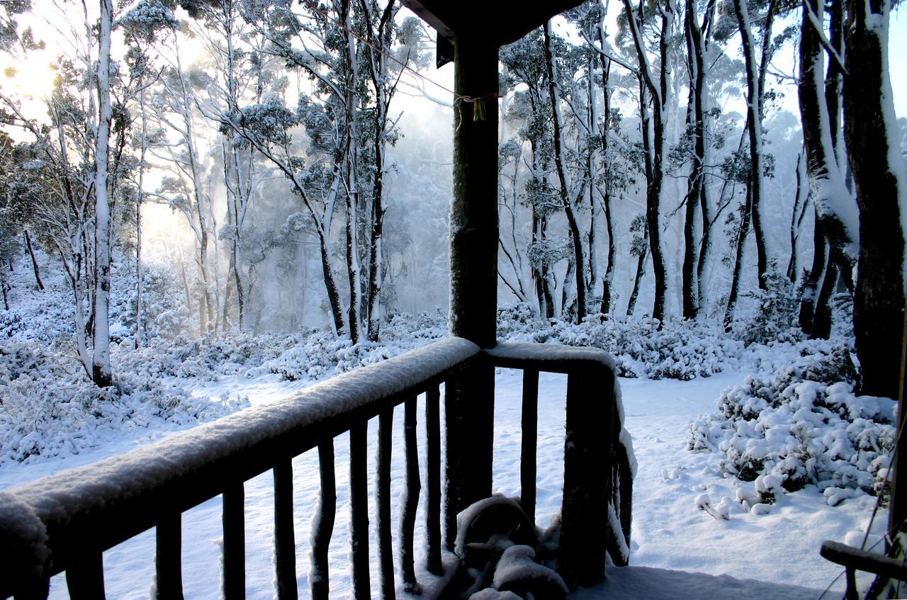 Wombat Cabin Villa Moina Kültér fotó