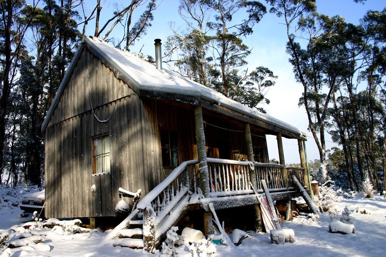Wombat Cabin Villa Moina Kültér fotó