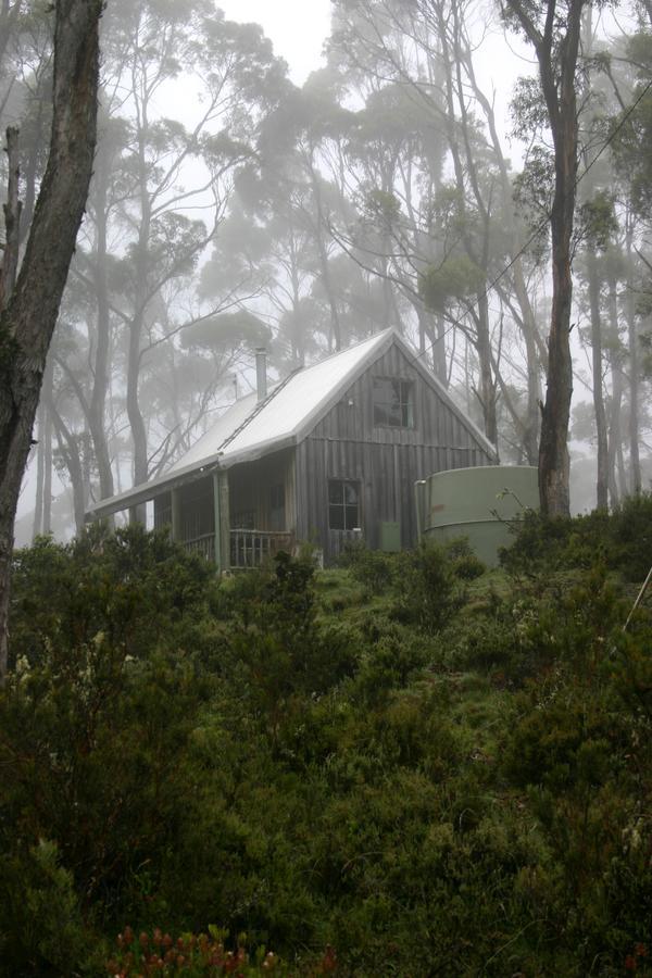 Wombat Cabin Villa Moina Kültér fotó