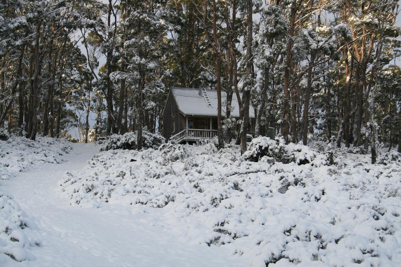 Wombat Cabin Villa Moina Kültér fotó